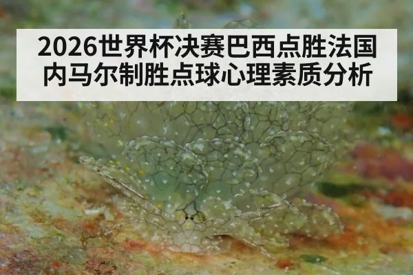 2026世界杯决赛巴西点胜法国内马尔制胜点球心理素质分析
